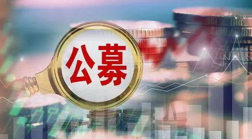 尷尬流拍 公募基金股權(quán)“香餑餑”為何沒(méi)人啃？